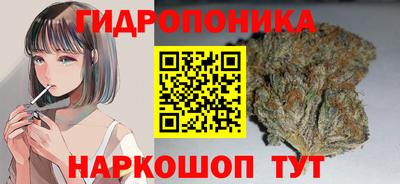 круглые Ставрополь