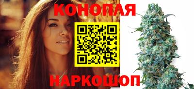 круглые Ставрополь