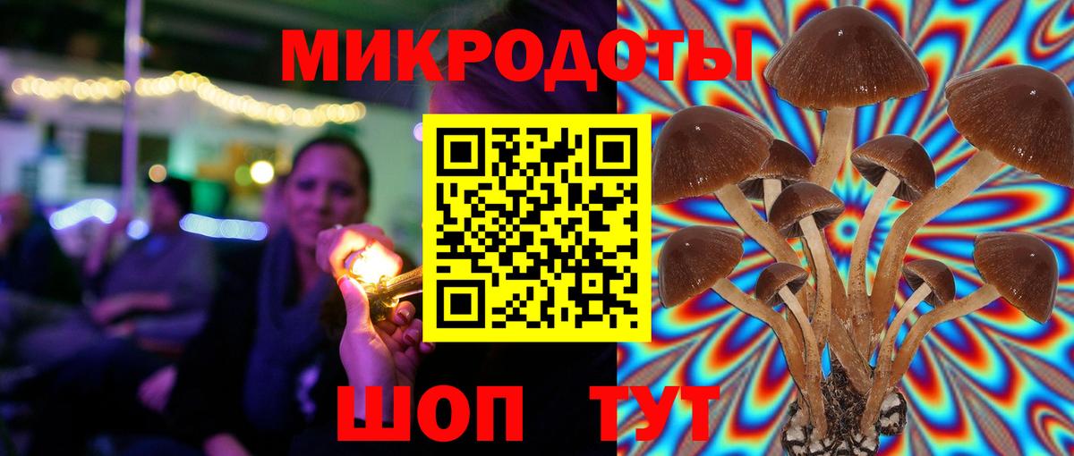 Галлюциногенные грибы прущие грибы Ревда